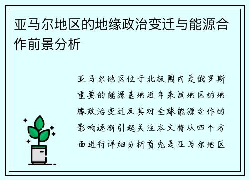 亚马尔地区的地缘政治变迁与能源合作前景分析